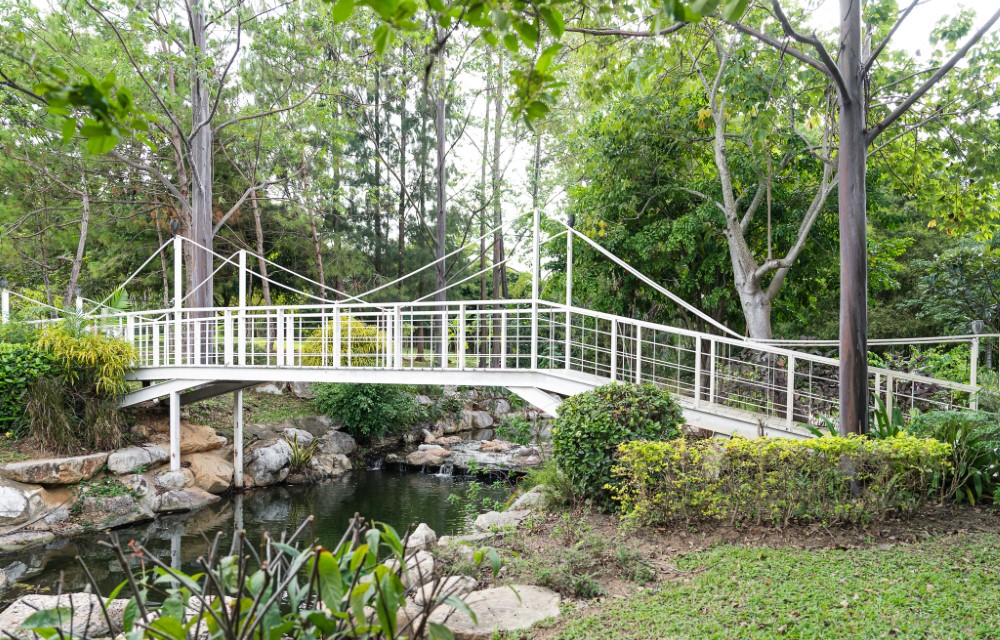 Relax and Rejuvenate: Spa Bliss at Wonder Mountain Resort