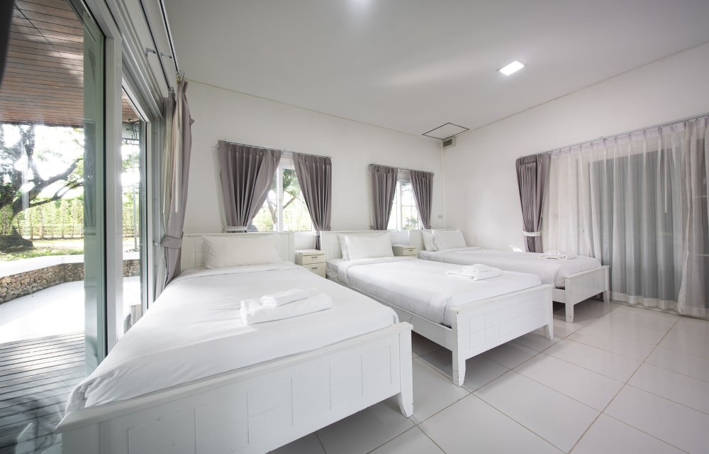Deluxe Twin room with garden view